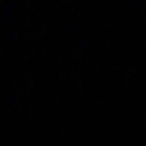 Meet your Posher, Danny